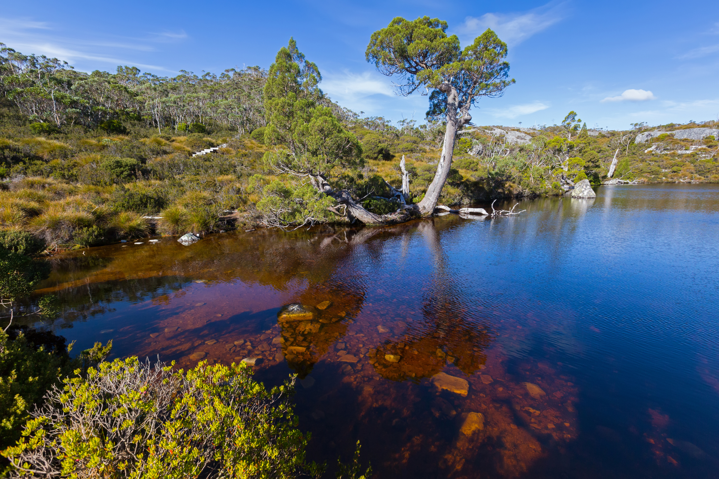 lake st clair national park, tasmania (4).webp